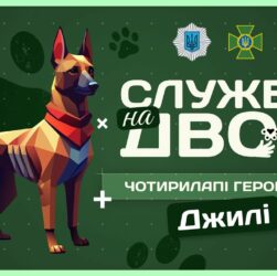🛂 ДЖИЛІ - собака-прикордонниця після окупації | Служба на двох