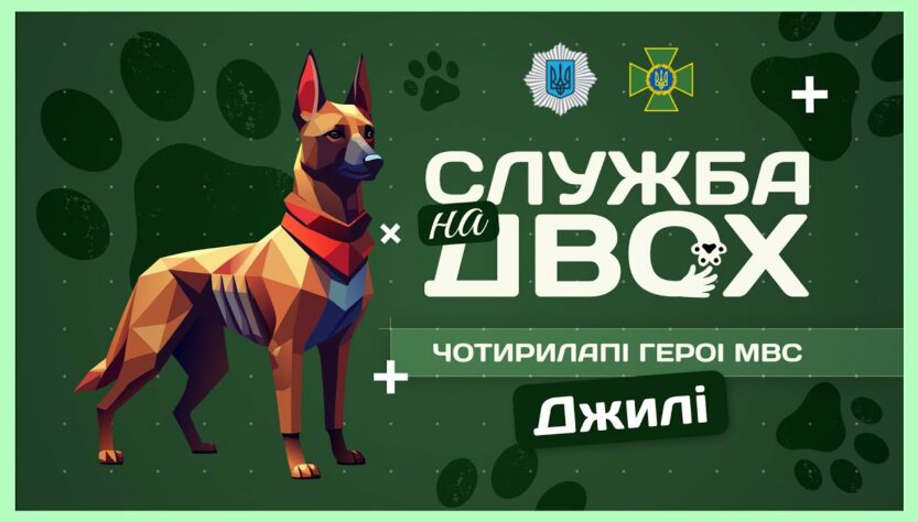 🛂 ДЖИЛІ - собака-прикордонниця після окупації | Служба на двох