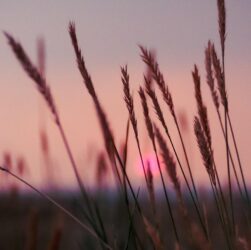 Новини культури - Гороскоп для всіх знаків зодіаку на 19 серпня 2025 року