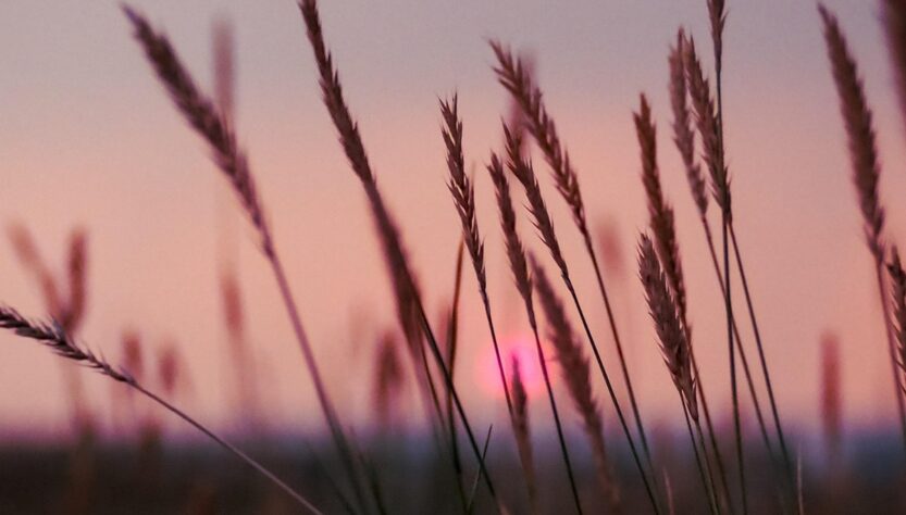 Новини культури - Гороскоп для всіх знаків зодіаку на 19 серпня 2025 року