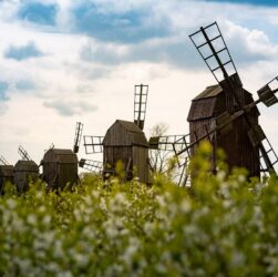 Новини культури - Гороскоп для всіх знаків зодіаку на 20 серпня 2025 року