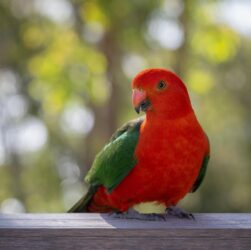 Новини культури - Гороскоп для всіх знаків зодіаку на 22 серпня 2025 року