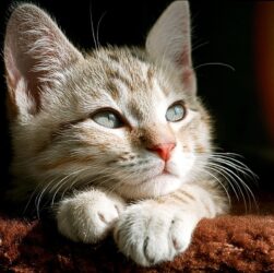 Новини культури - Гороскоп для всіх знаків зодіаку на 23-24 серпня 2025 року