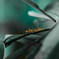 Новини культури - Гороскоп для всіх знаків зодіаку на 26 серпня 2025 року