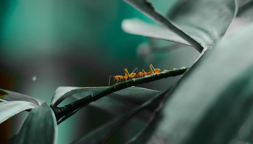 Новини культури - Гороскоп для всіх знаків зодіаку на 26 серпня 2025 року