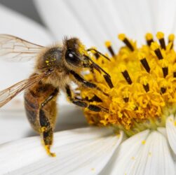 Новини культури - Гороскоп для всіх знаків зодіаку на останні вихідні серпня 2025 року