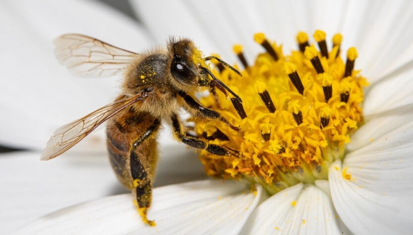 Новини культури - Гороскоп для всіх знаків зодіаку на останні вихідні серпня 2025 року