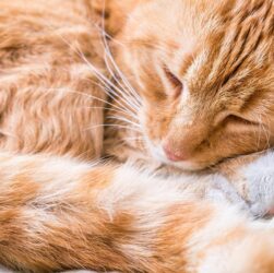 Новини культури - Гороскоп для всіх знаків зодіаку на вихідні 16-17 серпня 2025 року