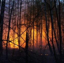 Новини світу - Іспанія у вогні: вирують масштабні лісові пожежі