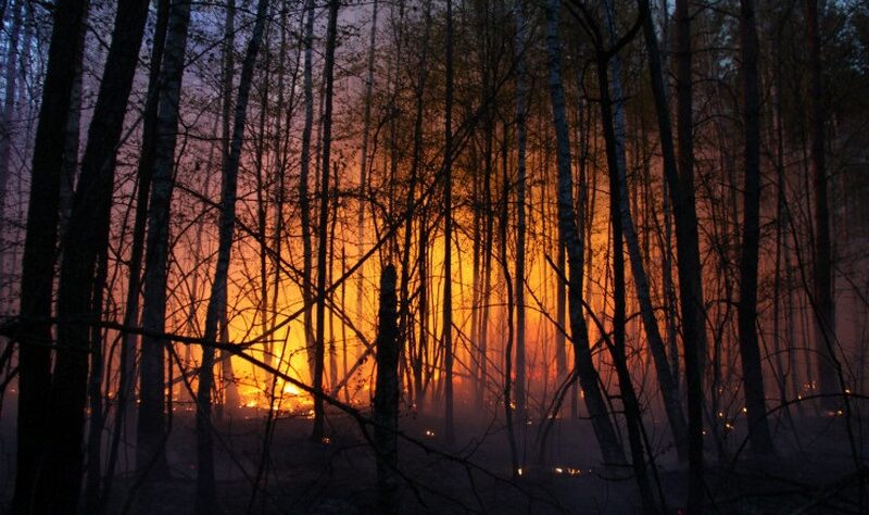 Новини світу - Іспанія у вогні: вирують масштабні лісові пожежі