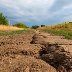 Технології - Континенти Землі висихають із безпрецедентною швидкістю - дослідження