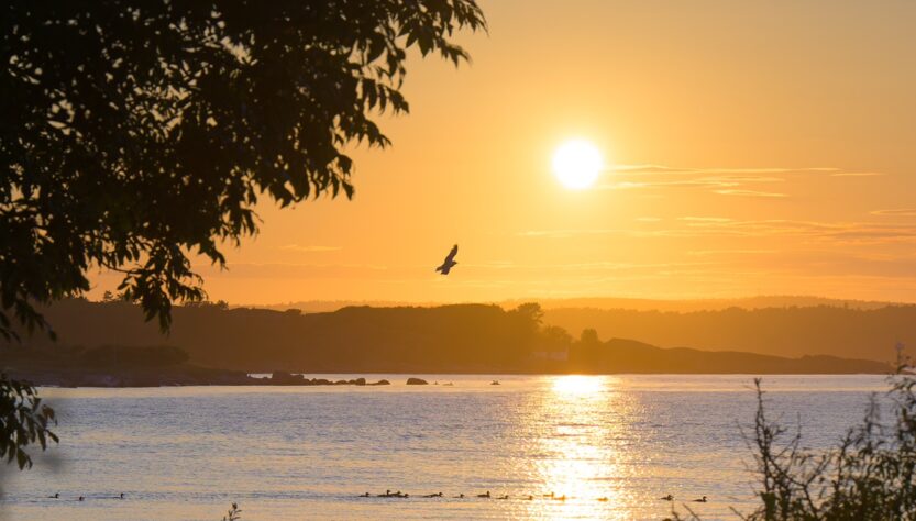 Новини світу - Липень став третім найспекотнішим за всю історію спостережень