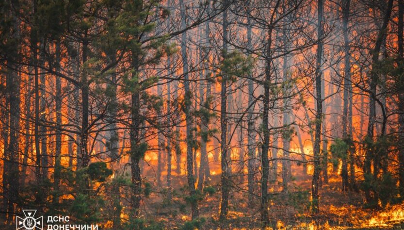 Новини України - На Донеччині ліквідували масштабну лісову пожежу
