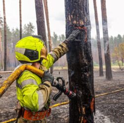 Новини України - На Харківщині ліквідували масштабну лісову пожежі