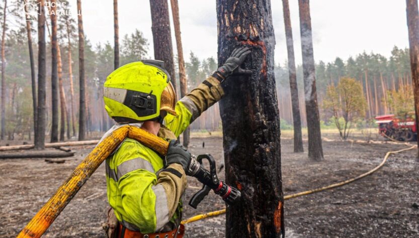 Новини України - На Харківщині ліквідували масштабну лісову пожежі