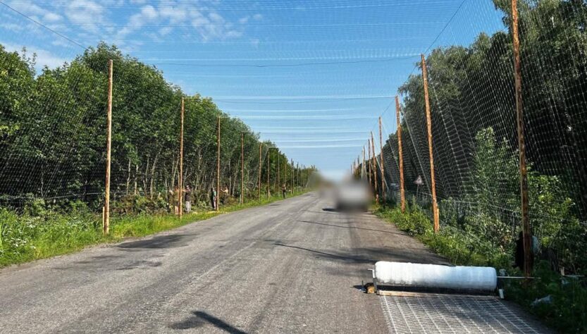 Новини України - Над дорогами Сумщини зводять "антидронові тунелі"