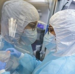 Новини України - Нові штами COVID-19: особливості та кількість хворих в Україні