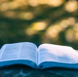 Новини світу - Нові слова з TikTok потрапили до Кембриджського словника