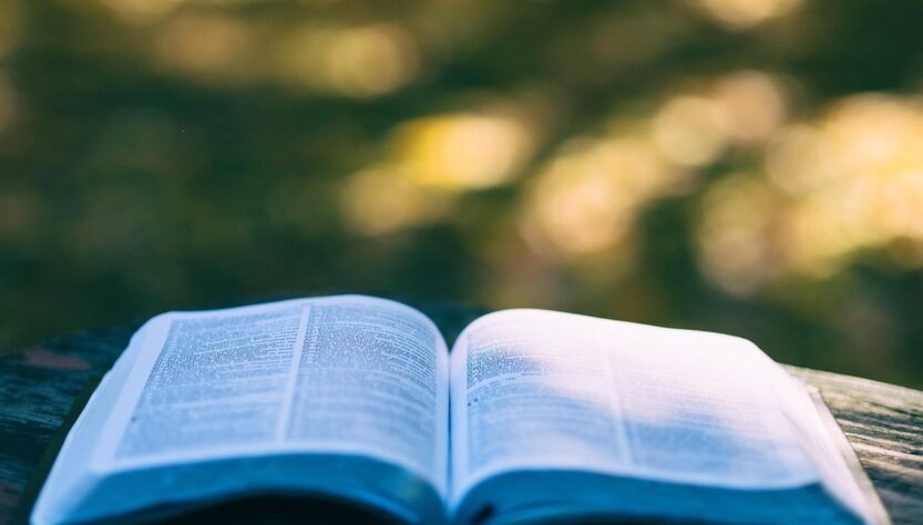 Новини світу - Нові слова з TikTok потрапили до Кембриджського словника