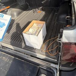 Новини України - Посадовця Лісів України затримали за хабар у 3 млн