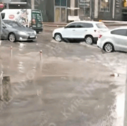 Новини Києва - Повалені дерева й підтоплення: Київ накрила гроза