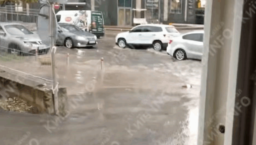 Новини Києва - Повалені дерева й підтоплення: Київ накрила гроза