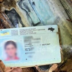 Новини України - Прикордонники виявили в Карпатах скелети двох людей