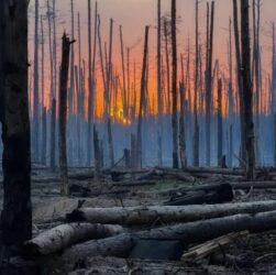 Новини України - РФ задіює дрони для наступу в лісах Донбасу - ISW