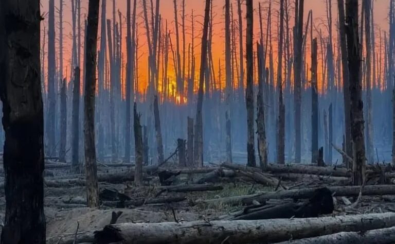 Новини України - РФ задіює дрони для наступу в лісах Донбасу - ISW