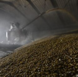 Новини бізнесу - Росія втрачає позиції найбільшого агроекспортера - розвідка