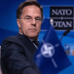 Новини світу - Рютте візьме участь у переговорах Зеленського та Трампа