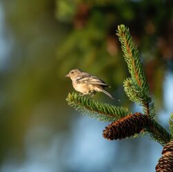 Новини України - Спека до 35° та місцями грози: погода на вихідні