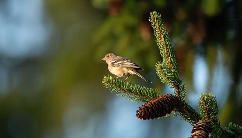 Новини України - Спека до 35° та місцями грози: погода на вихідні