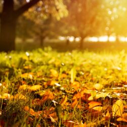 Новини України - Спека, подекуди грози: синоптики про погоду на початку вересня