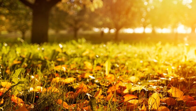 Новини України - Спека, подекуди грози: синоптики про погоду на початку вересня