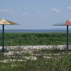 Новини України - Територію Каховське водосховище регулярно охоплює вогонь - Держекоінспекція