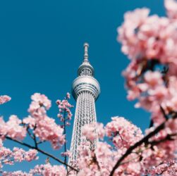 Новини бізнесу - Токіо визнали найкращим містом для дистанційної роботи