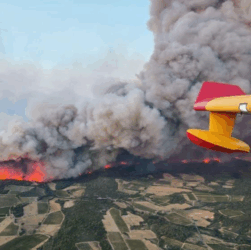 Новини світу - У Франції вирує масштабна лісова пожежа