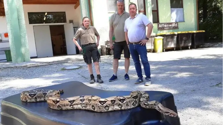 Новини світу - У Німеччині жінка знайшла 2,5-метрового удава