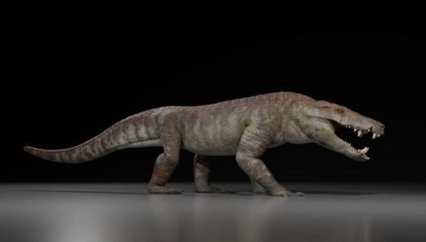 Технології - У Патагонії знайшли скам’янілі рештки крокодилоподібного хижака