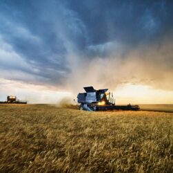 Новини бізнесу - Україна зберігає врожай зернових на рівні минулого року