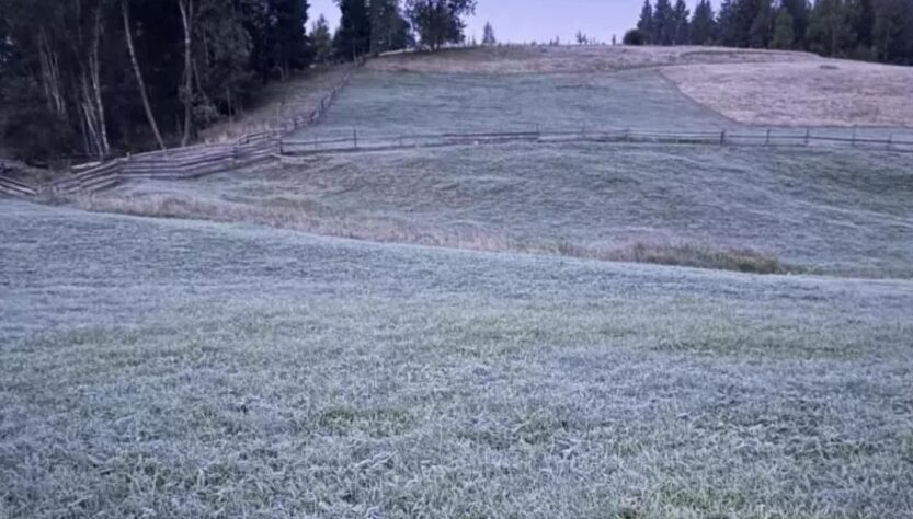 Новини України - В селі на Буковині зафіксували п'ятиградусний мороз