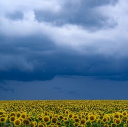 Новини України - В Україні прогнозують до +33°, подекуди грози та град