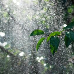 Новини України - В Україні прогнозують суху та теплу погоду