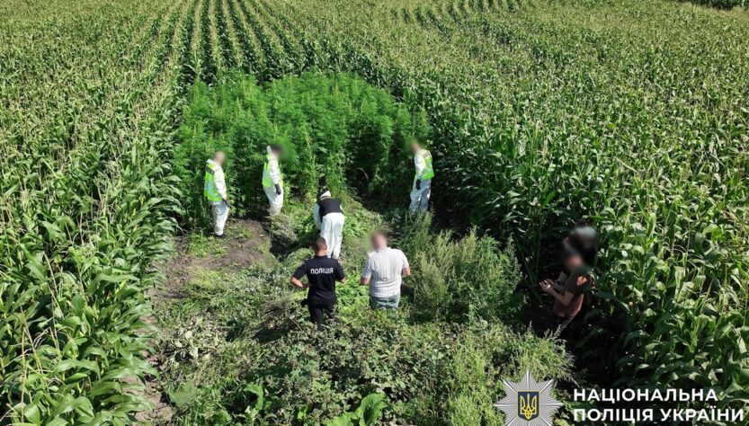 Новини України - В Україні провели масштабну операцію Джентельмени