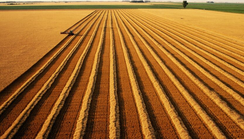 Новини бізнесу - В Україні скоротилося виробництво агропродукції на понад 18%