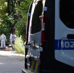 Новини України - Вбивство Парубія: оприлюднено деталі розслідування