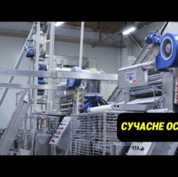 Комплекс з виробництва заморожених напівфабрикатів ТОВ «Ромєрм»: триває конкурс на пошук управителя