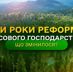 Результати ЛІСОВОЇ РЕФОРМИ - що отримала УКРАЇНА? / ДП "Ліси України"