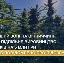 У заповідній зоні на Вінниччині викрито підпільне виробництво наркотиків на 5 млн грн